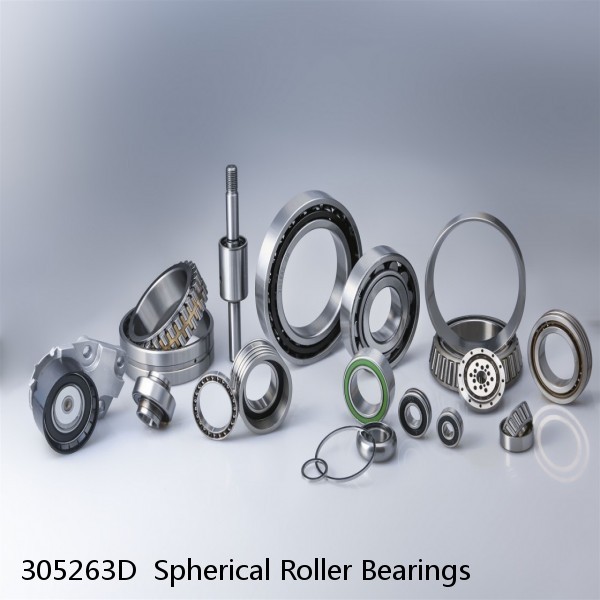 305263D  Spherical Roller Bearings #1 small image