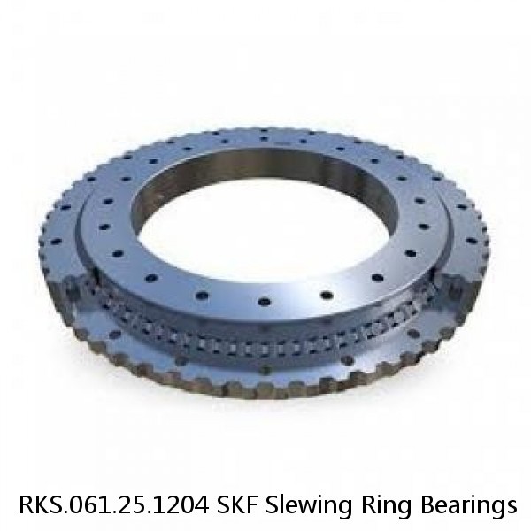 RKS.061.25.1204 SKF Slewing Ring Bearings #1 small image