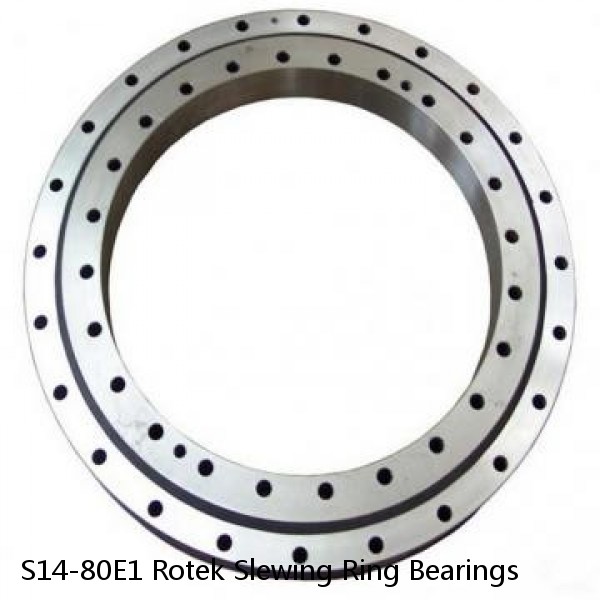 S14-80E1 Rotek Slewing Ring Bearings #1 small image