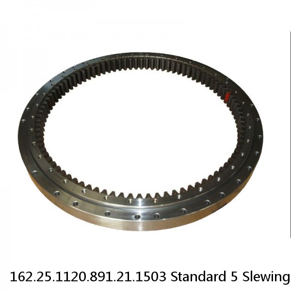 162.25.1120.891.21.1503 Standard 5 Slewing Ring Bearings #1 small image