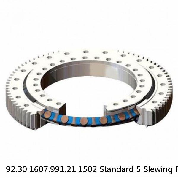 92.30.1607.991.21.1502 Standard 5 Slewing Ring Bearings #1 small image