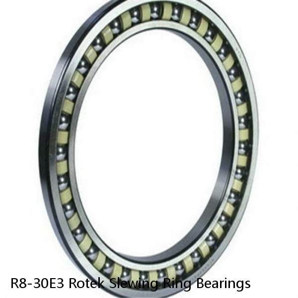 R8-30E3 Rotek Slewing Ring Bearings #1 image