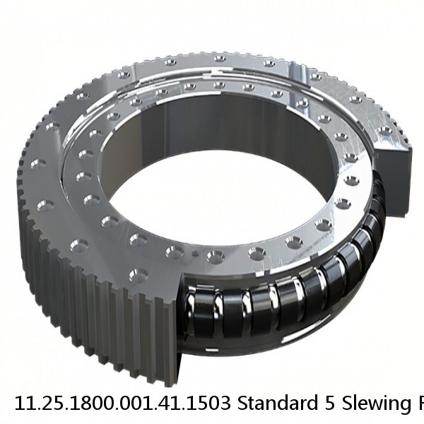 11.25.1800.001.41.1503 Standard 5 Slewing Ring Bearings #1 image