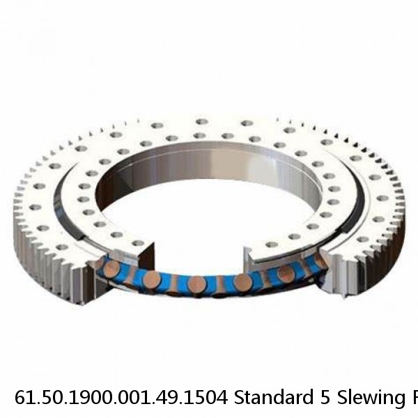 61.50.1900.001.49.1504 Standard 5 Slewing Ring Bearings #1 image