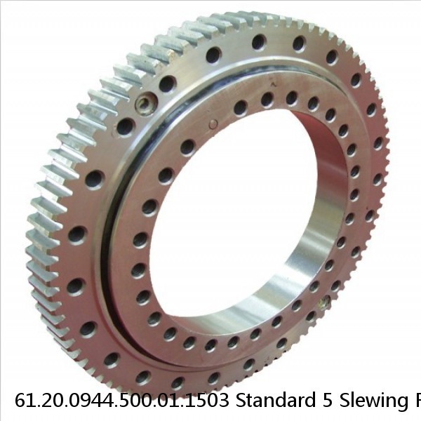 61.20.0944.500.01.1503 Standard 5 Slewing Ring Bearings #1 image