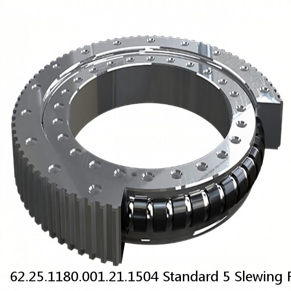 62.25.1180.001.21.1504 Standard 5 Slewing Ring Bearings #1 image