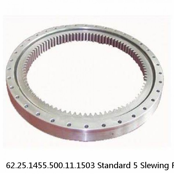 62.25.1455.500.11.1503 Standard 5 Slewing Ring Bearings #1 image